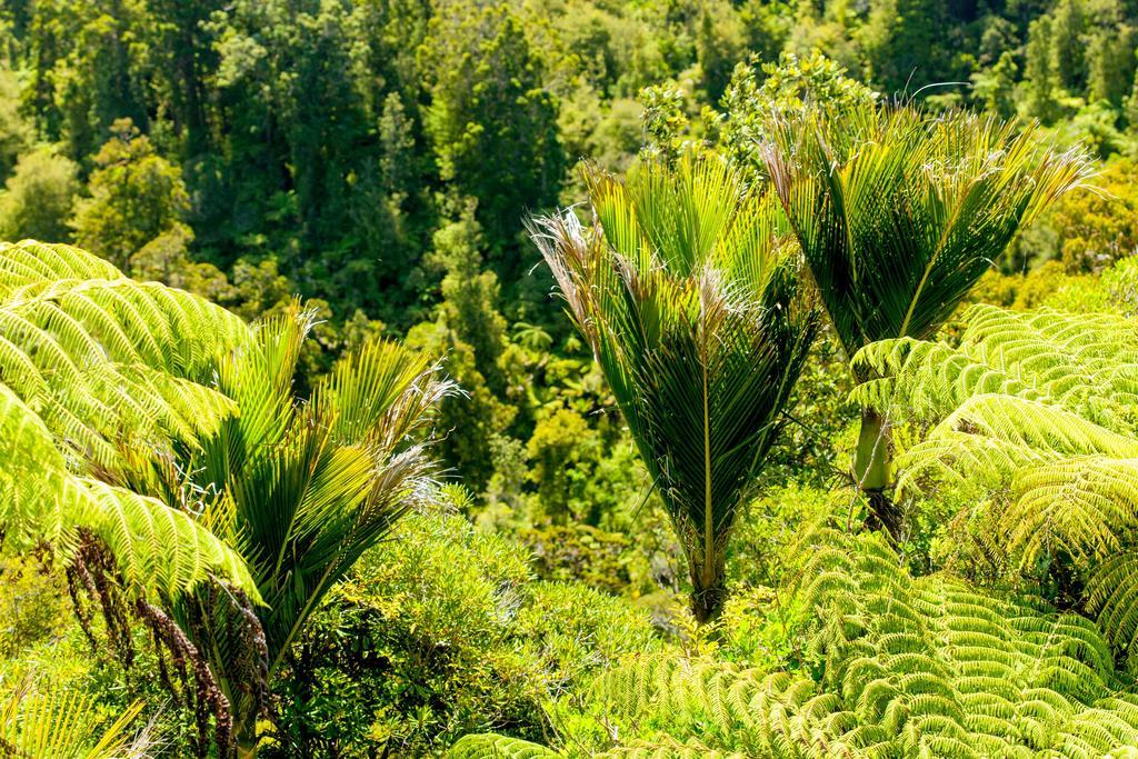 Waitakere Resort & Spa Auckland Luaran gambar