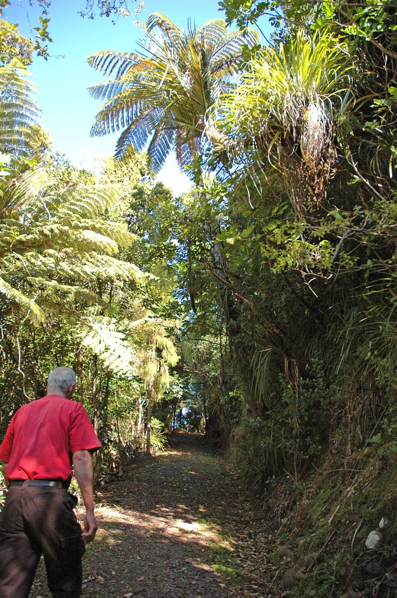 Waitakere Resort & Spa Auckland Luaran gambar